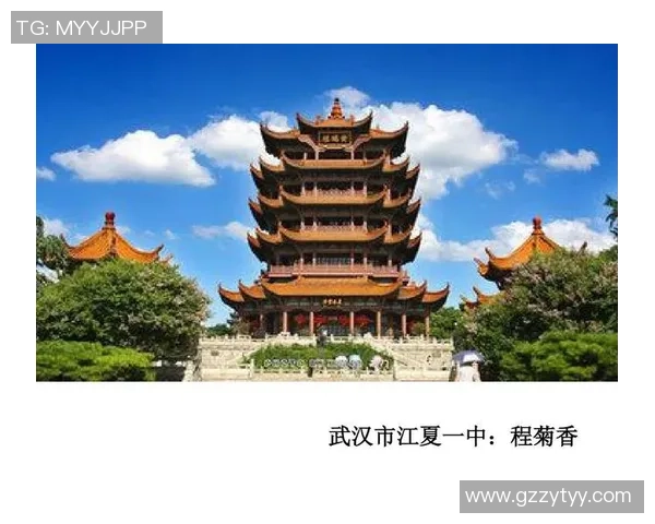 武汉乒乓球队的崛起之路揭秘与力量探讨